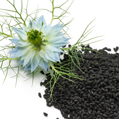 Spirulina MetalDetox