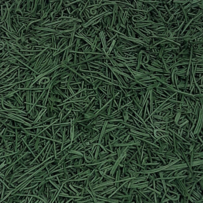 SpirulinaBio Spaghettini