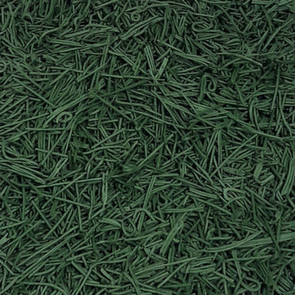 SpirulinaBio Spaghettini